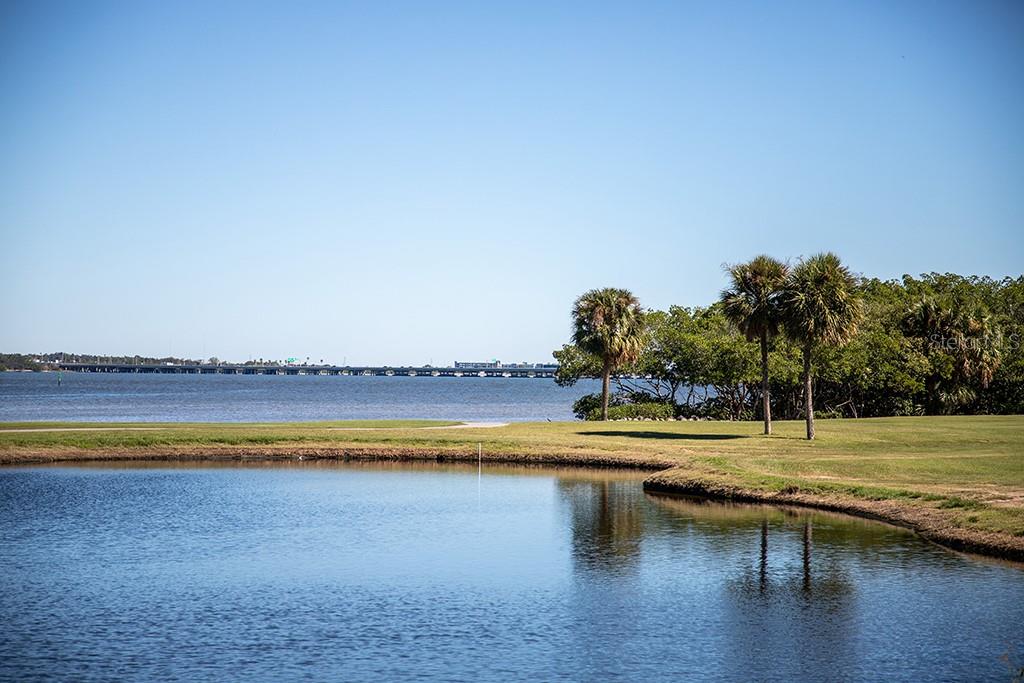 2621 COVE CAY DR #606, CLEARWATER, FL, 33760