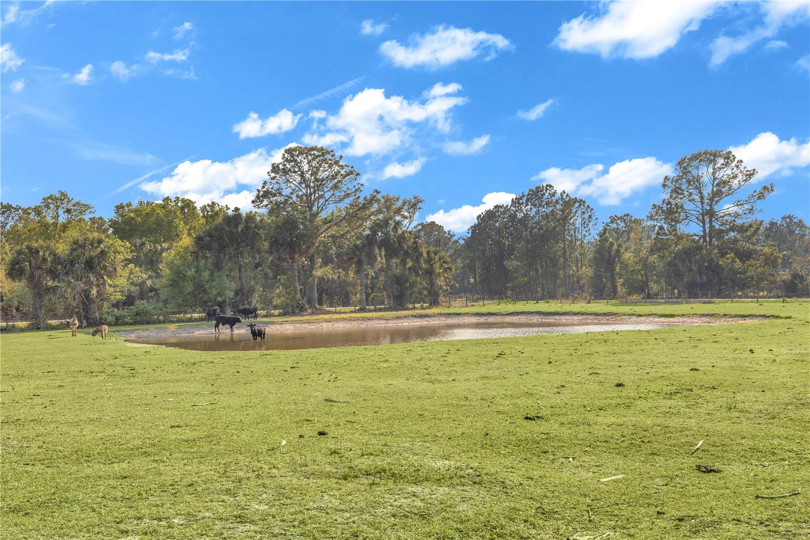 171 RIVER OAKS DR, OSTEEN, FL, 32764