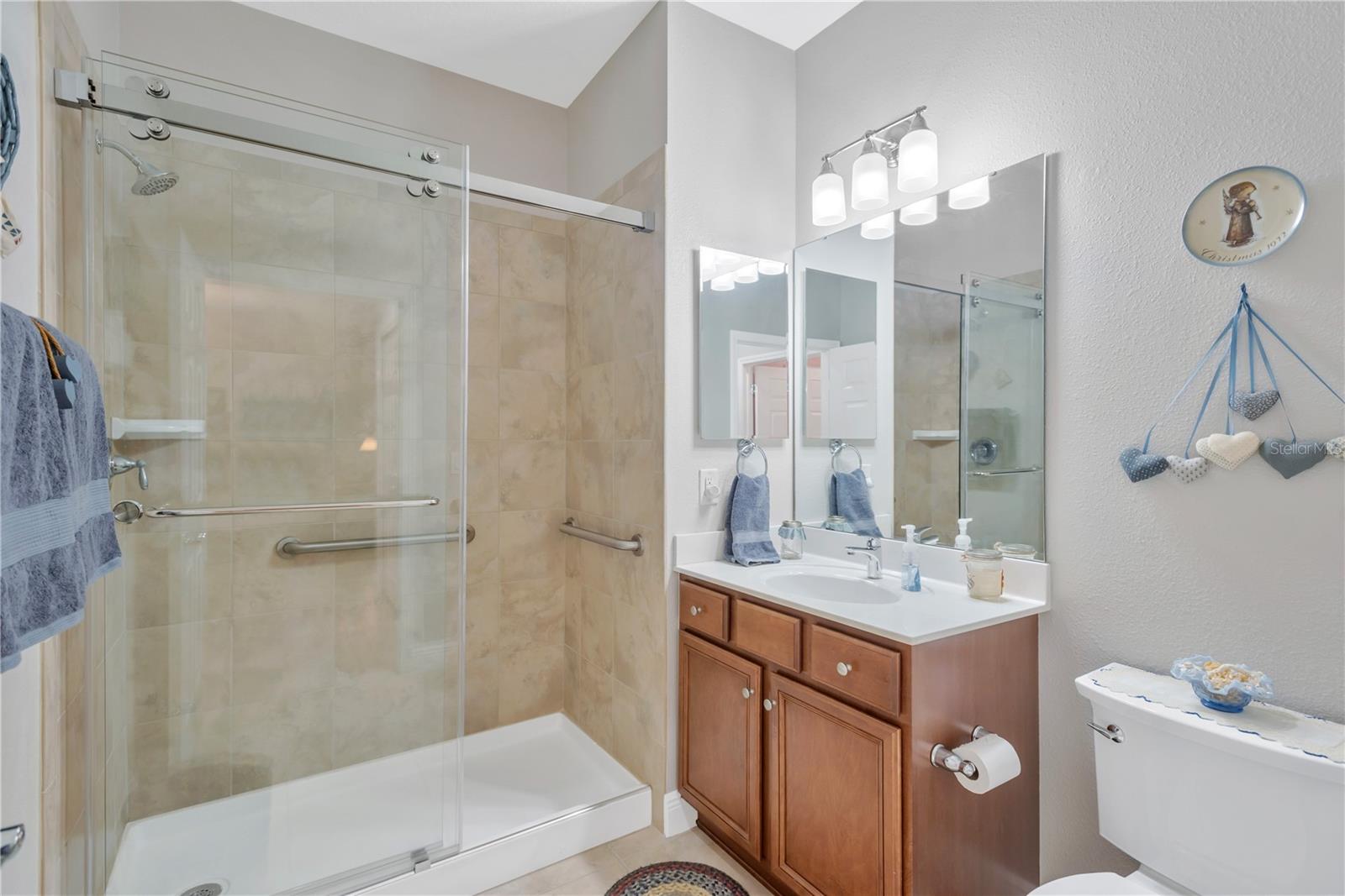 320 BLUEWATER FALLS CT, APOLLO BEACH, FL, 33572