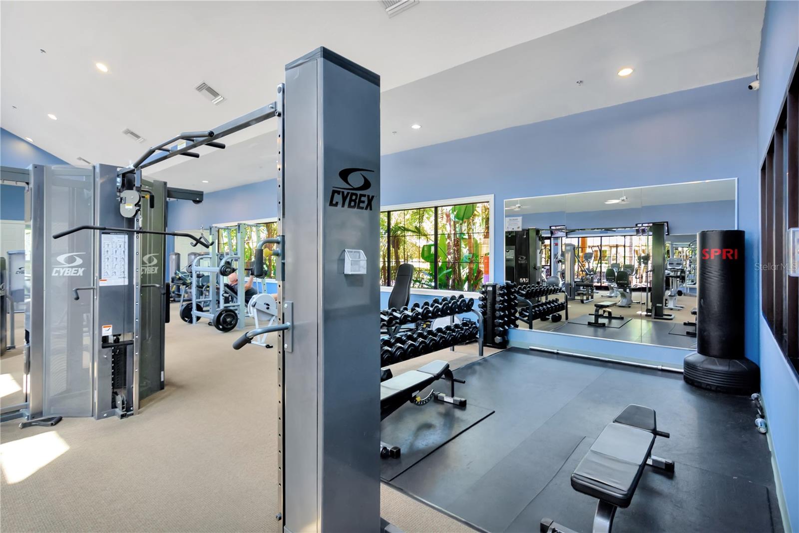 320 BLUEWATER FALLS CT, APOLLO BEACH, FL, 33572