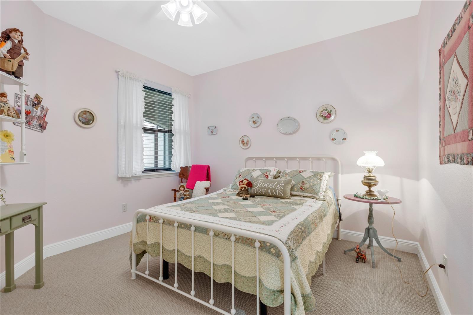 320 BLUEWATER FALLS CT, APOLLO BEACH, FL, 33572