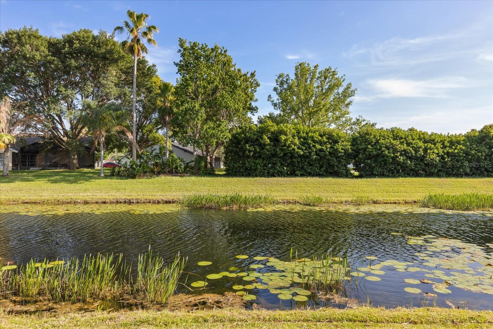 5332 DORRINGTON LN, ORLANDO, FL, 32821