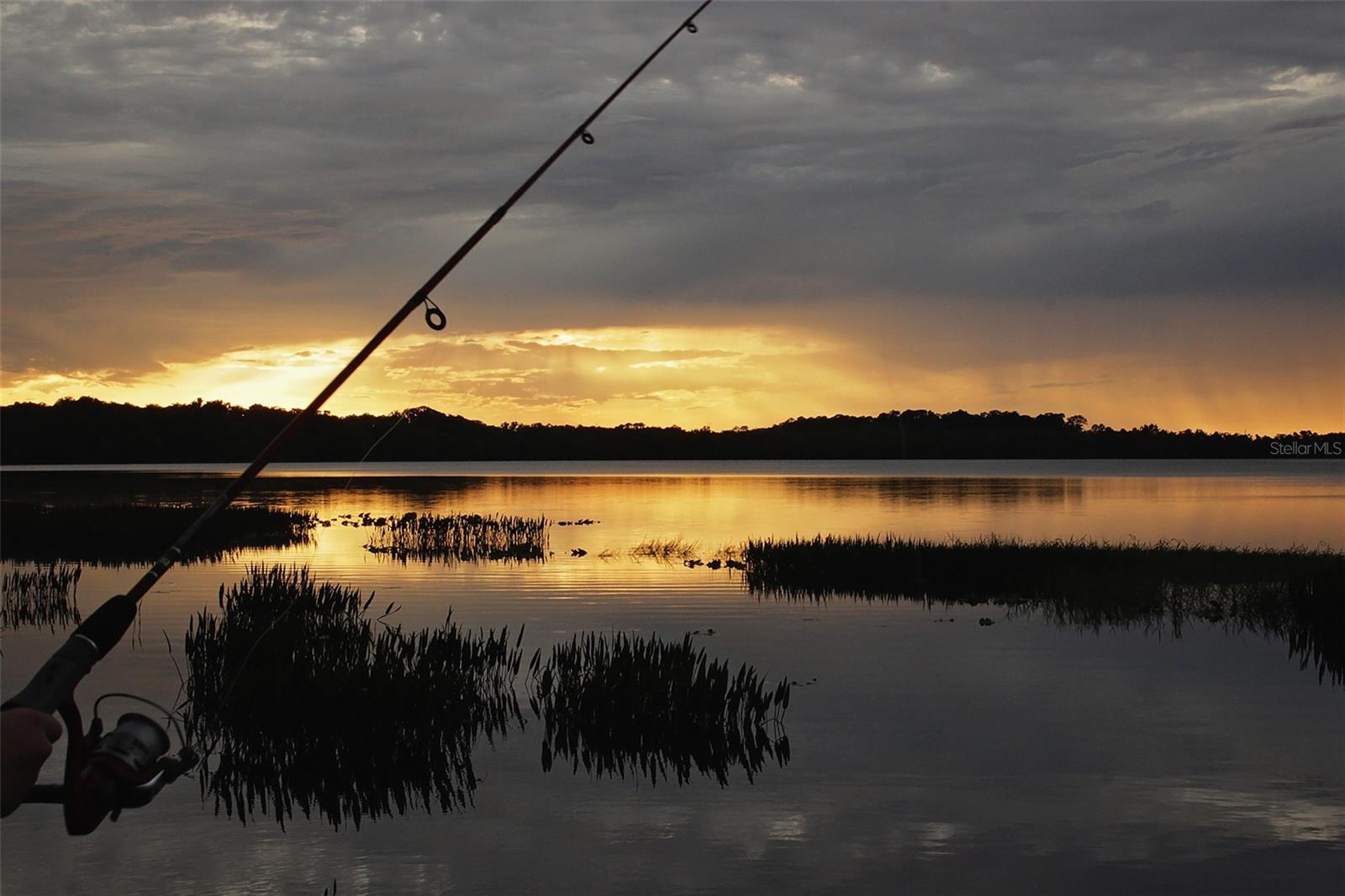 3446 SCHOOLHOUSE RD, HARMONY, FL, 34773