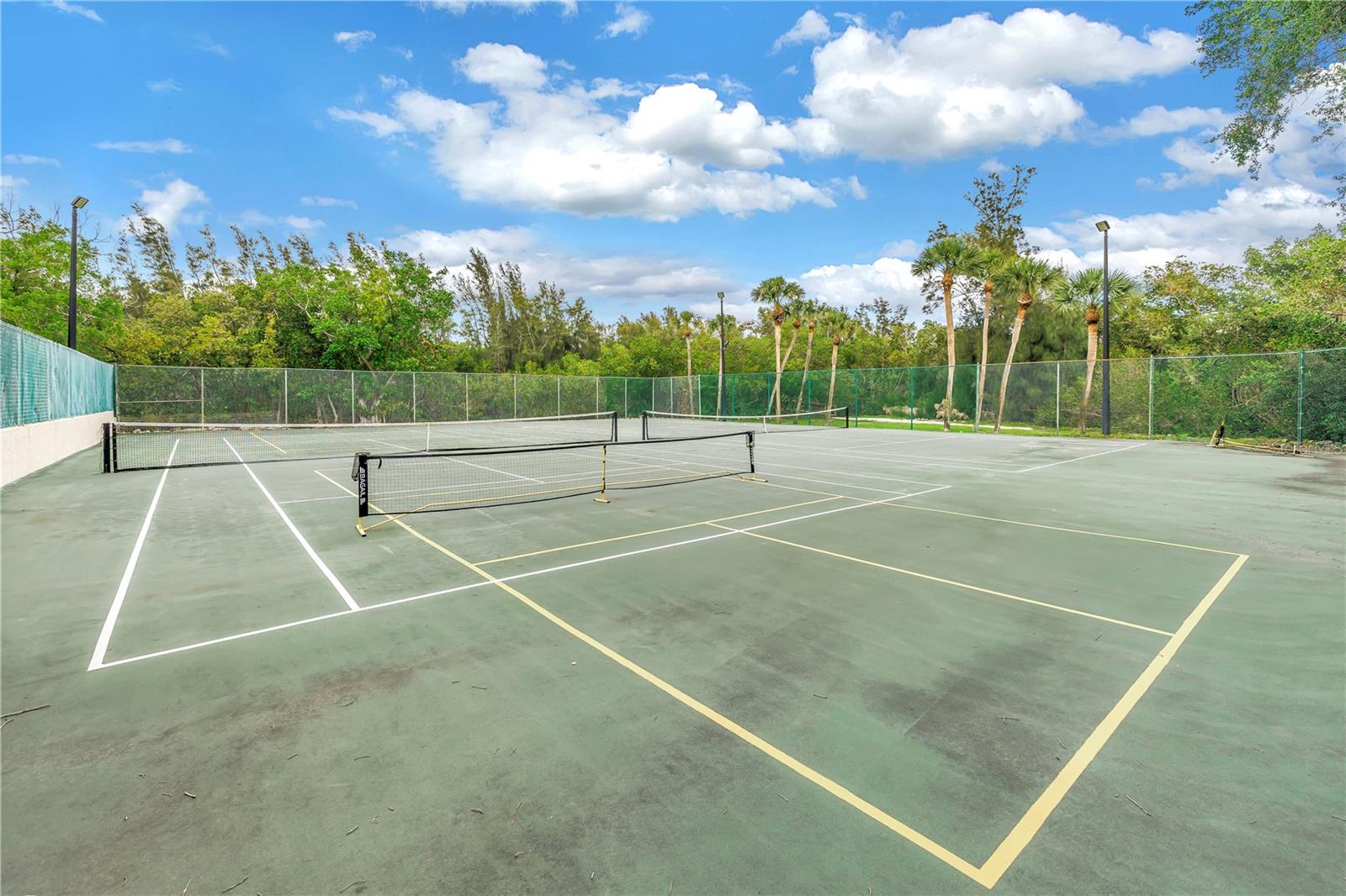 Pickleball Courts ready for the Tuesday night game.  2 Courts available.