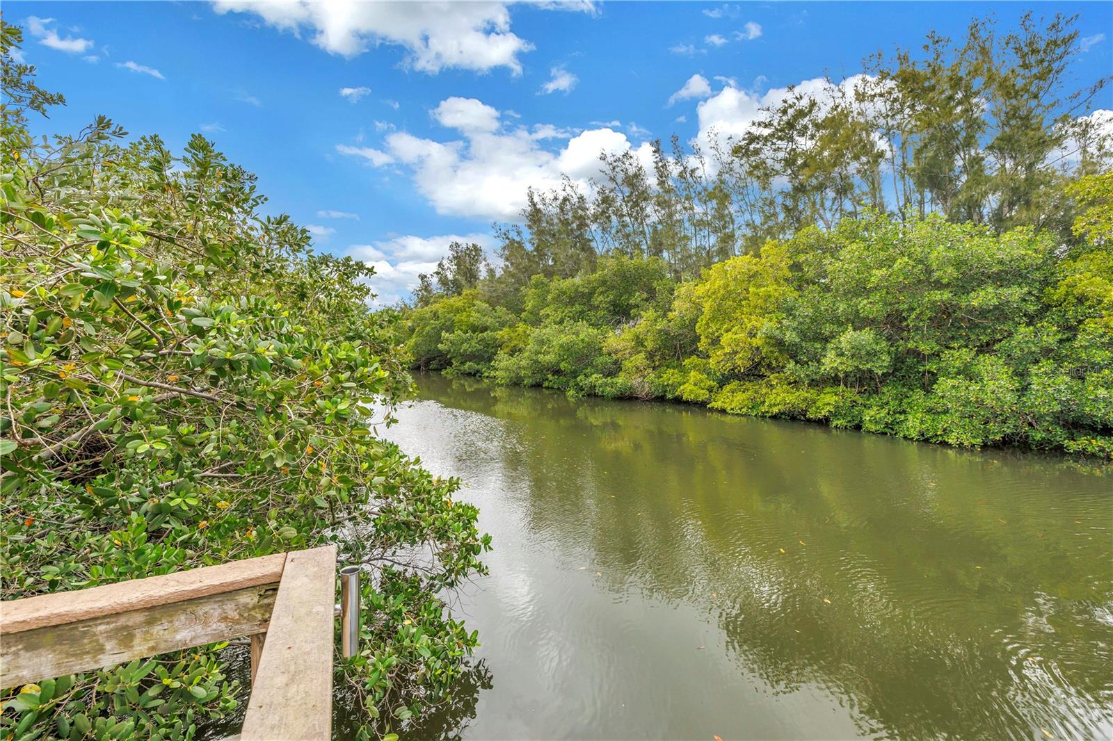 Canal View from Fishing Pier: Redfish, Snook, Trout...