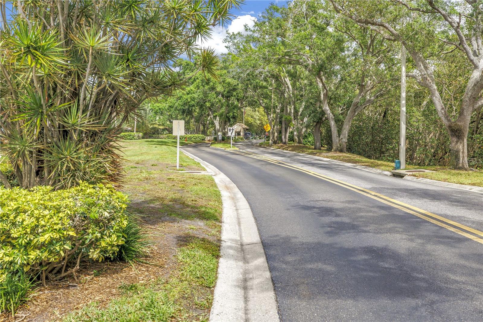 The final curve to the Hidden Security Gate House.  Amazing Old Florida Oaks provide the shady experience of Mature growth.