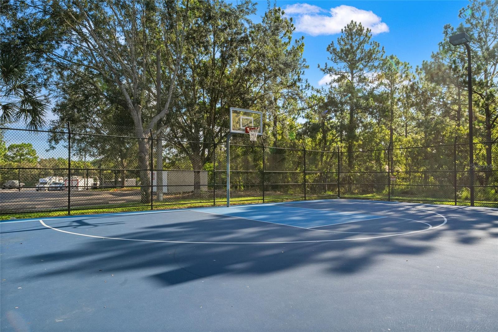 4154 BRAEMERE DR, SPRING HILL, FL, 34609