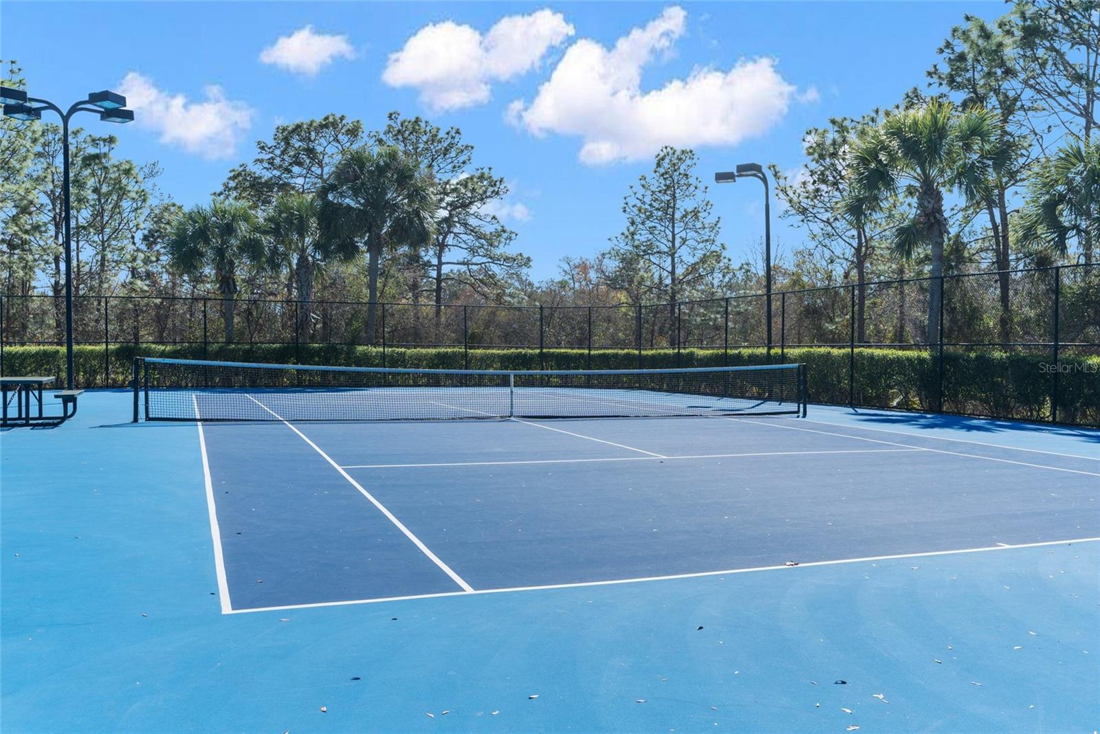 4154 BRAEMERE DR, SPRING HILL, FL, 34609