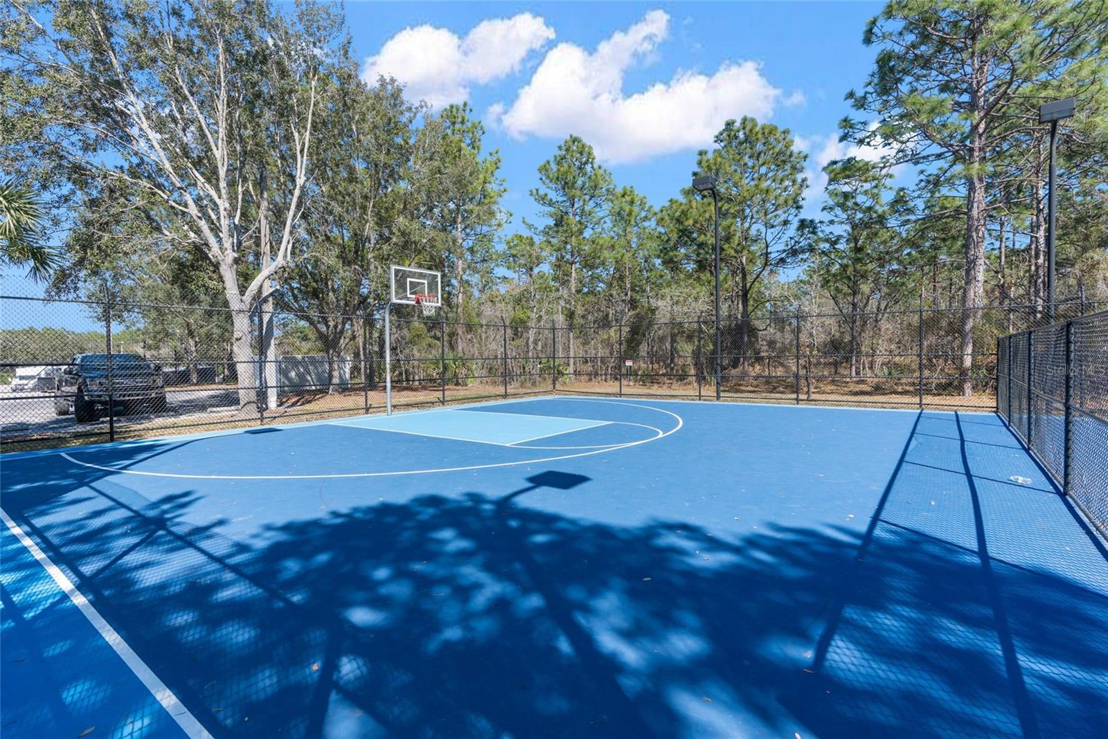 4154 BRAEMERE DR, SPRING HILL, FL, 34609