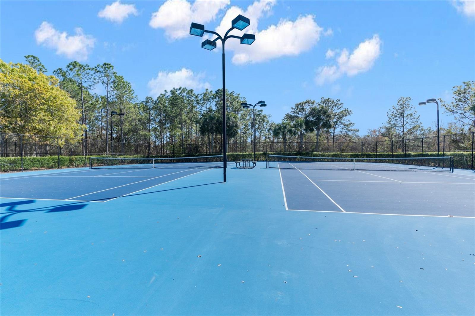 4154 BRAEMERE DR, SPRING HILL, FL, 34609