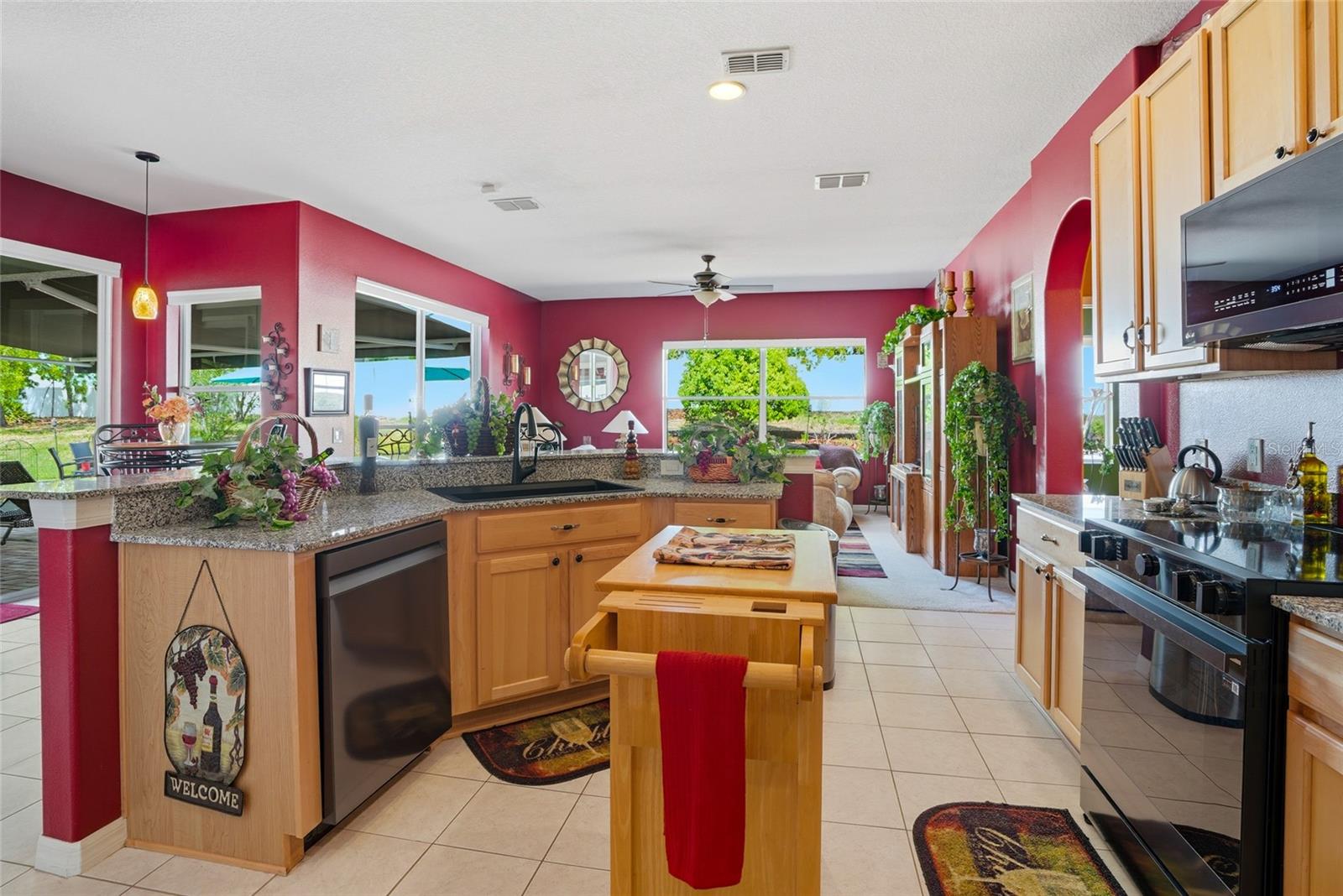 4154 BRAEMERE DR, SPRING HILL, FL, 34609