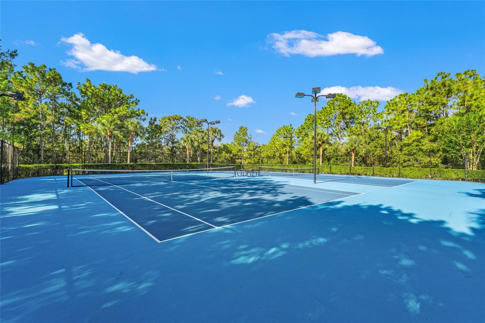 4154 BRAEMERE DR, SPRING HILL, FL, 34609