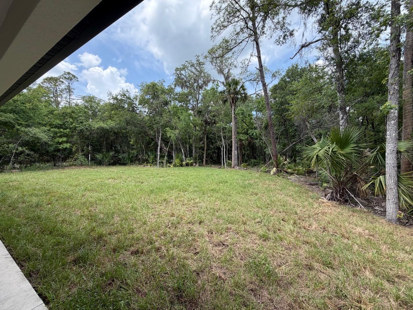1602 LAKE HARNEY, GENEVA, FL, 32732