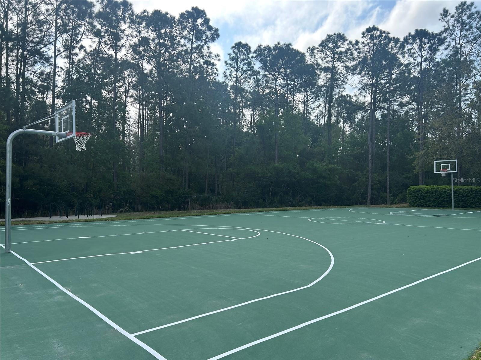 5856 COUNT TURF LN, WESLEY CHAPEL, FL, 33544