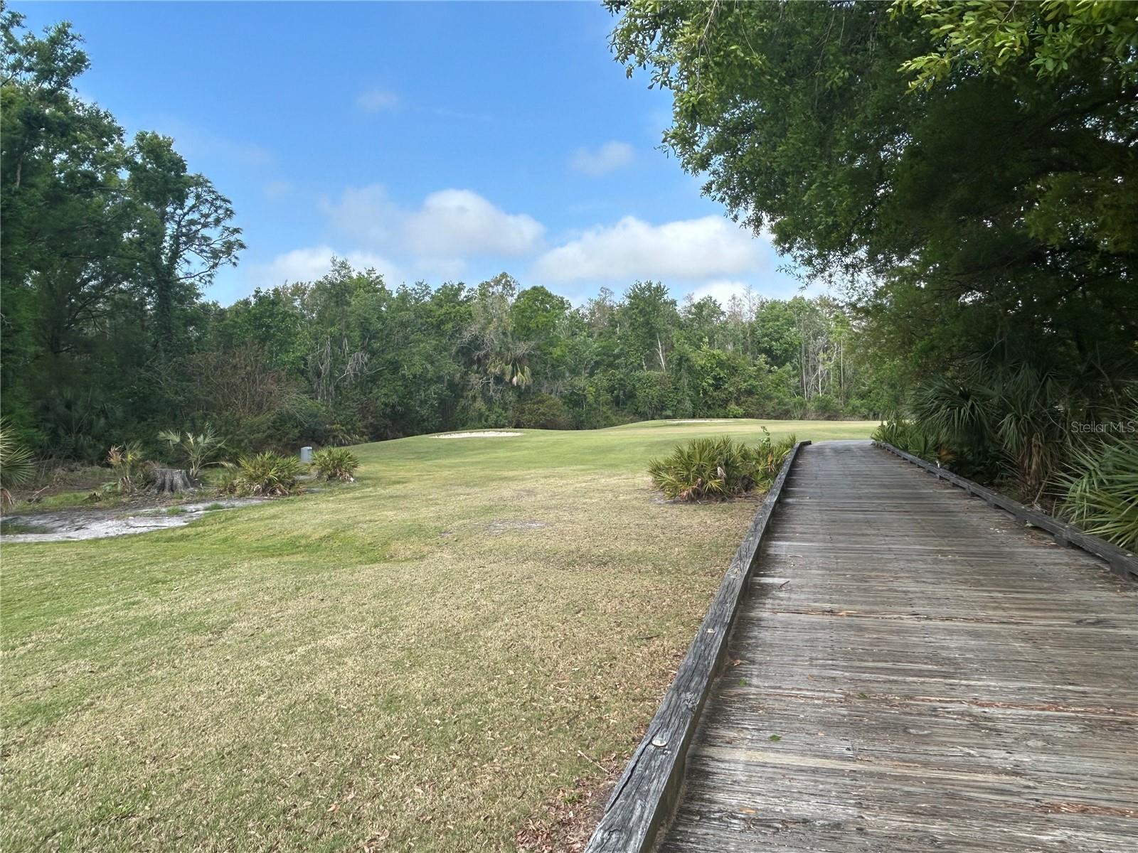 5856 COUNT TURF LN, WESLEY CHAPEL, FL, 33544