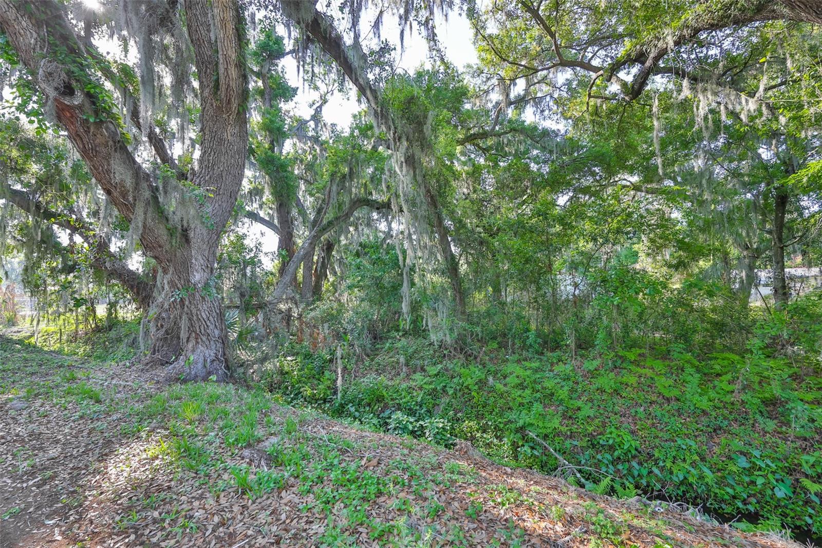 UNPLATTED, DOVER, FL, 33527
