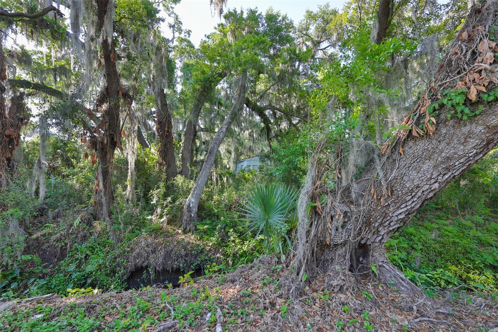 UNPLATTED, DOVER, FL, 33527
