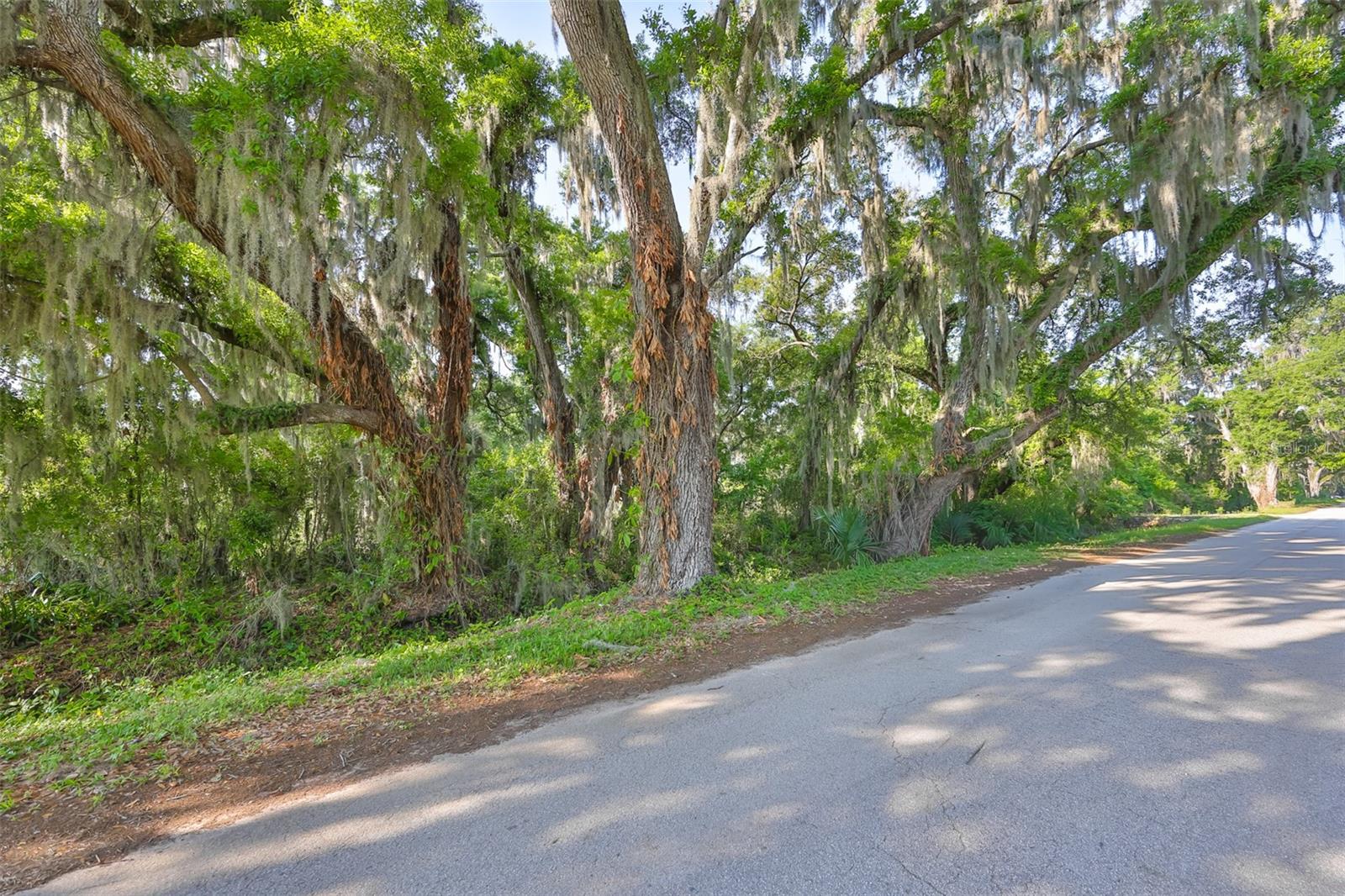 UNPLATTED, DOVER, FL, 33527