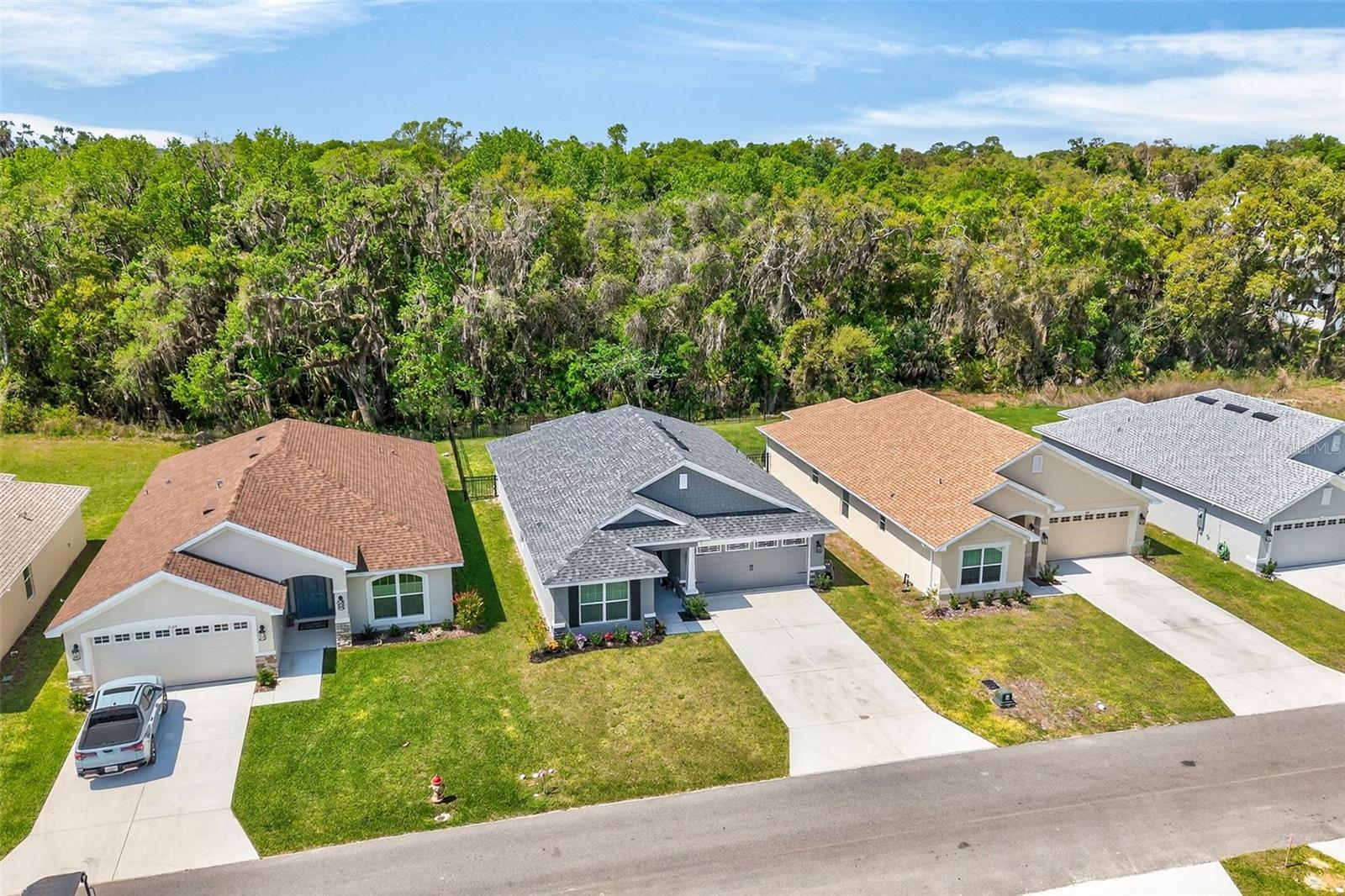 1137 HERON POINT DR, INVERNESS, FL, 34453