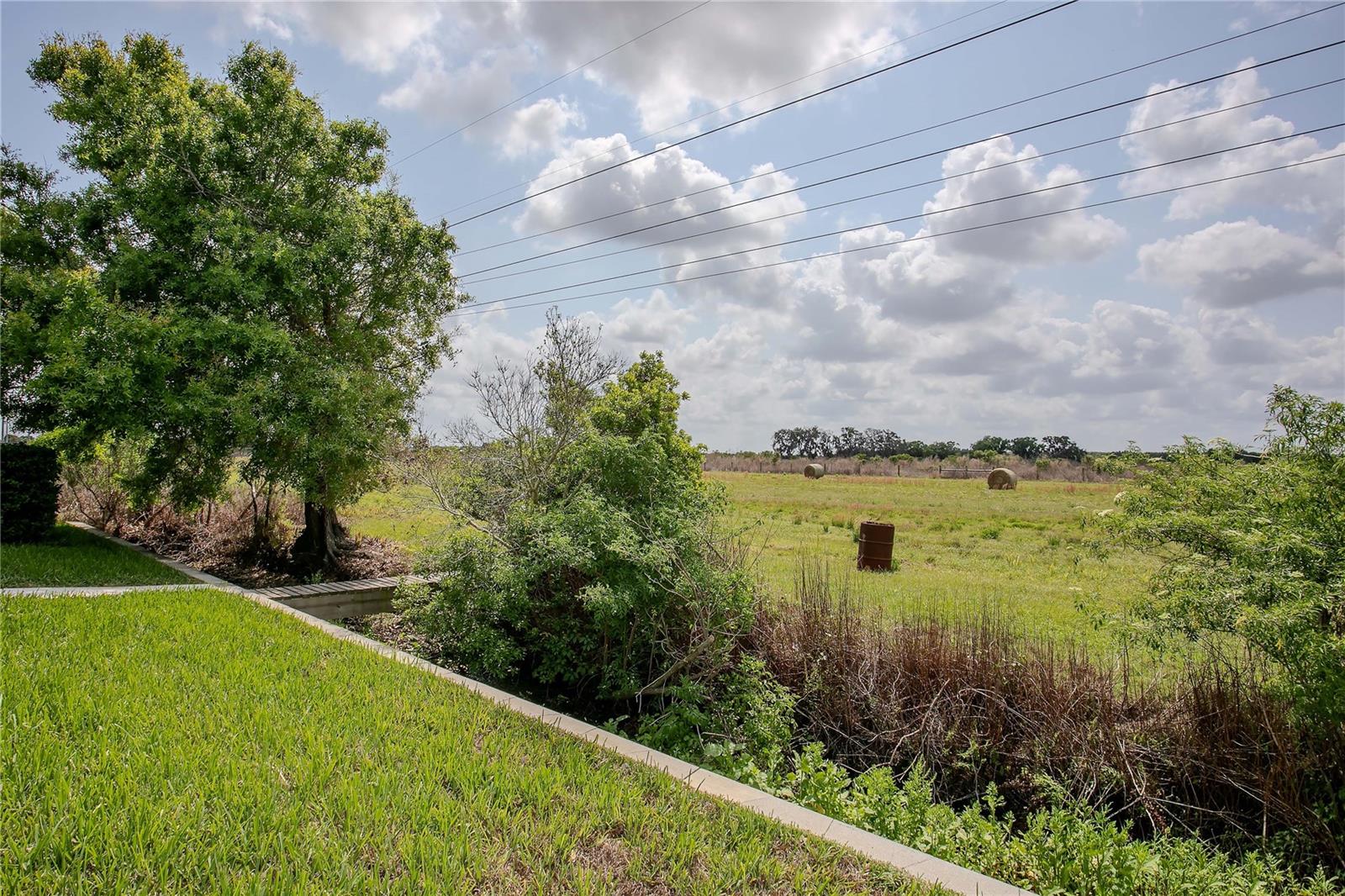 11701 BRIGHTON KNOLL LOOP, RIVERVIEW, FL, 33579