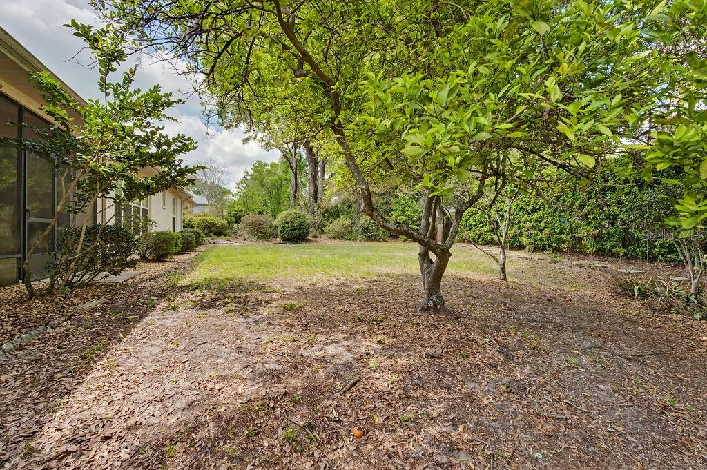 10086 SW 192ND CIR, DUNNELLON, FL, 34432