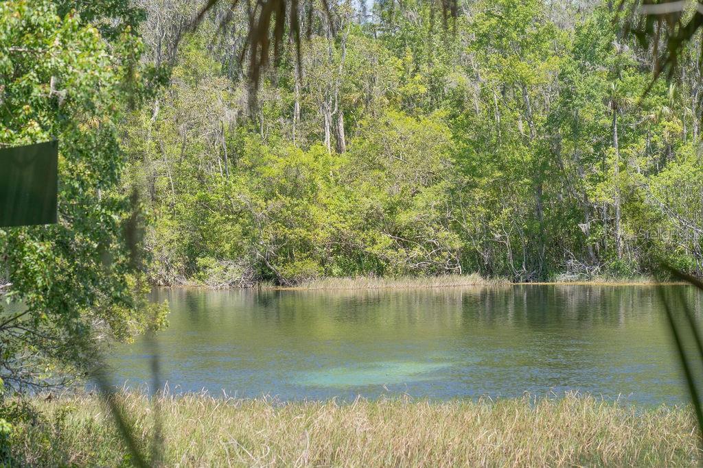 10086 SW 192ND CIR, DUNNELLON, FL, 34432