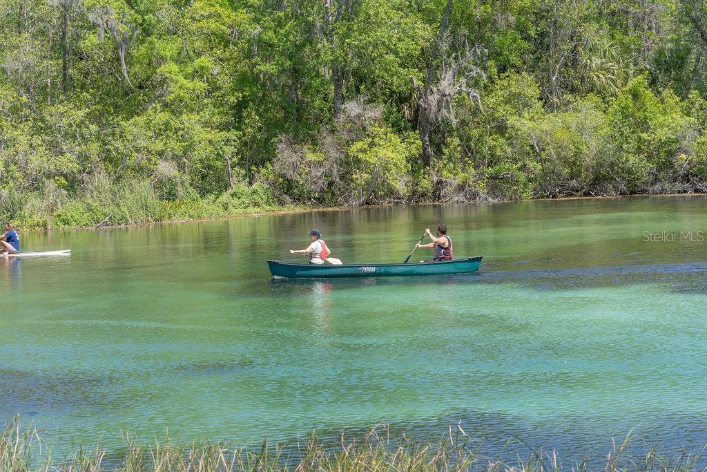 10086 SW 192ND CIR, DUNNELLON, FL, 34432