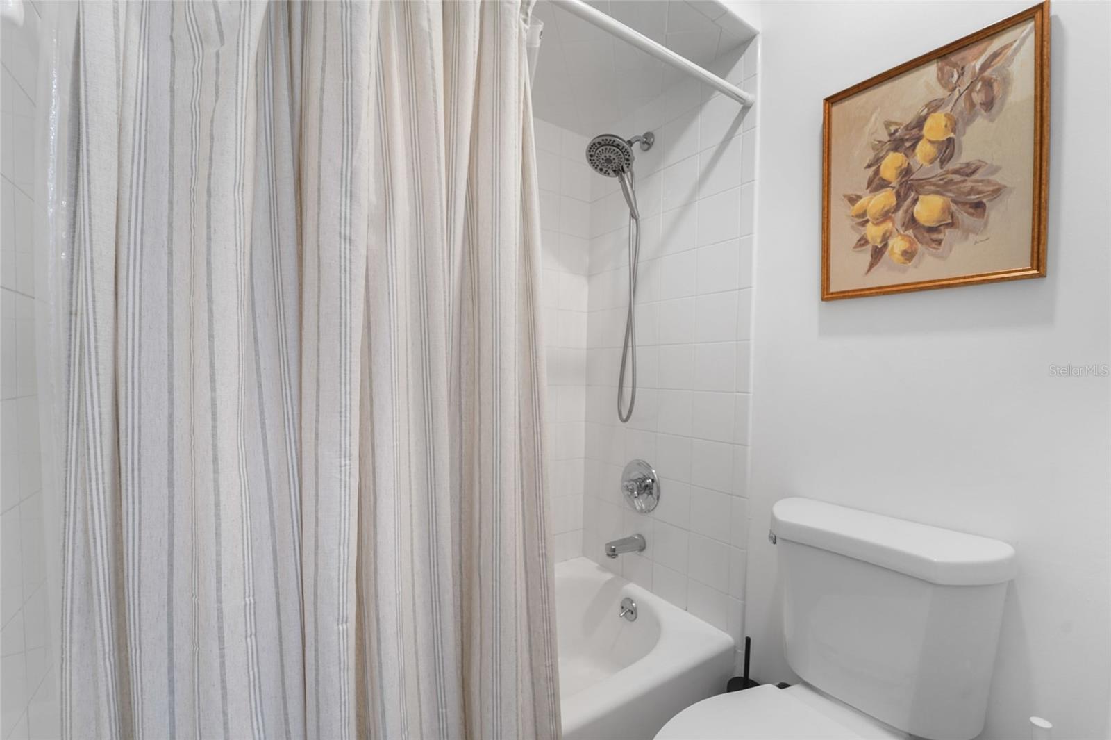 4906 W SAN RAFAEL ST, TAMPA, FL, 33629