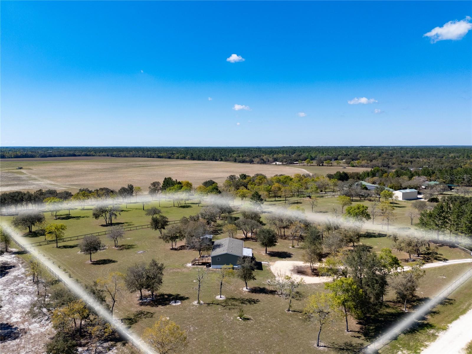 4470 NE 121ST AVE, WILLISTON, FL, 32696