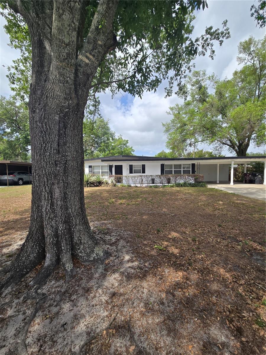 1500 ROSCOMARE AVE, ORLANDO, FL, 32806