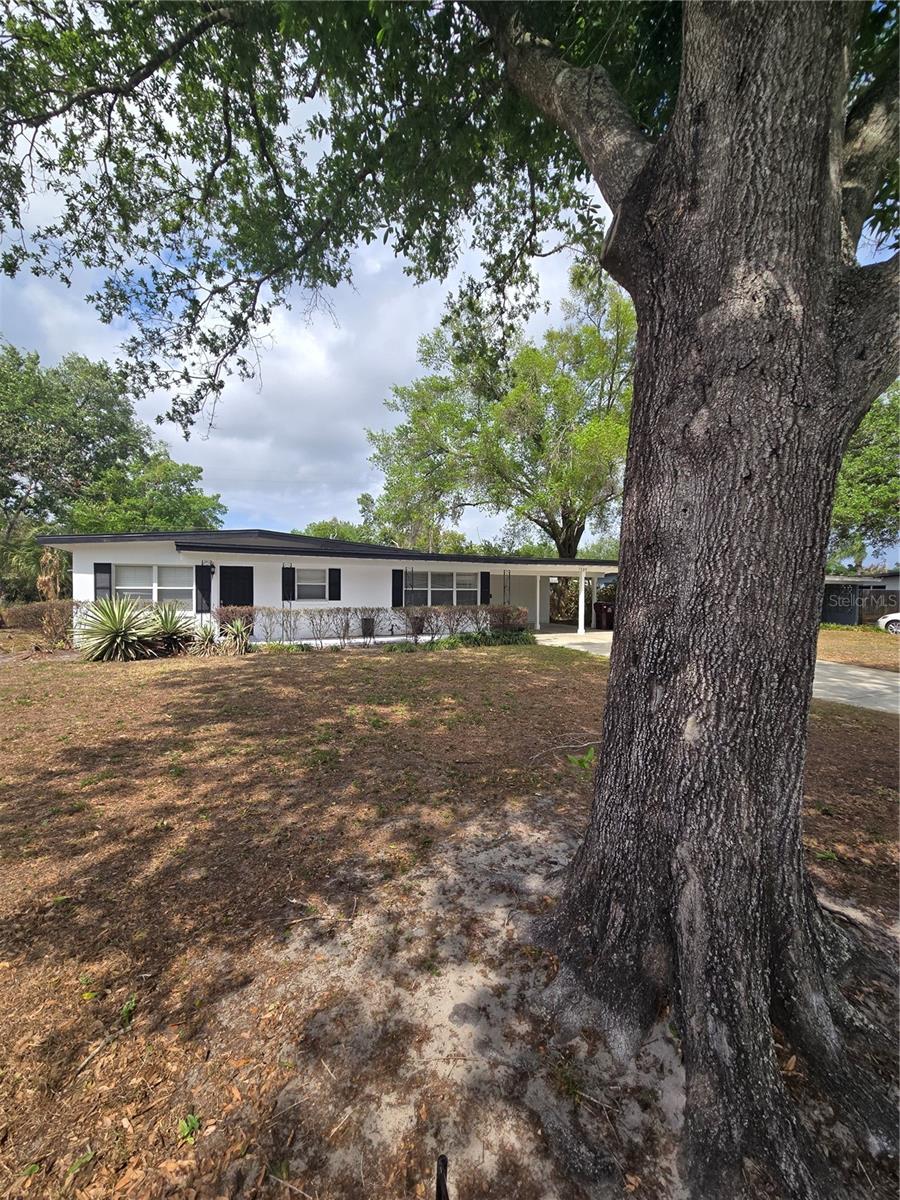 1500 ROSCOMARE AVE, ORLANDO, FL, 32806