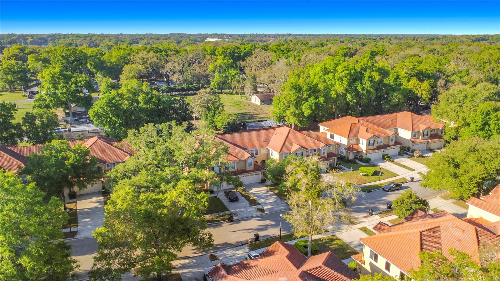 2272 WEKIVA VILLAGE LN, APOPKA, FL, 32703