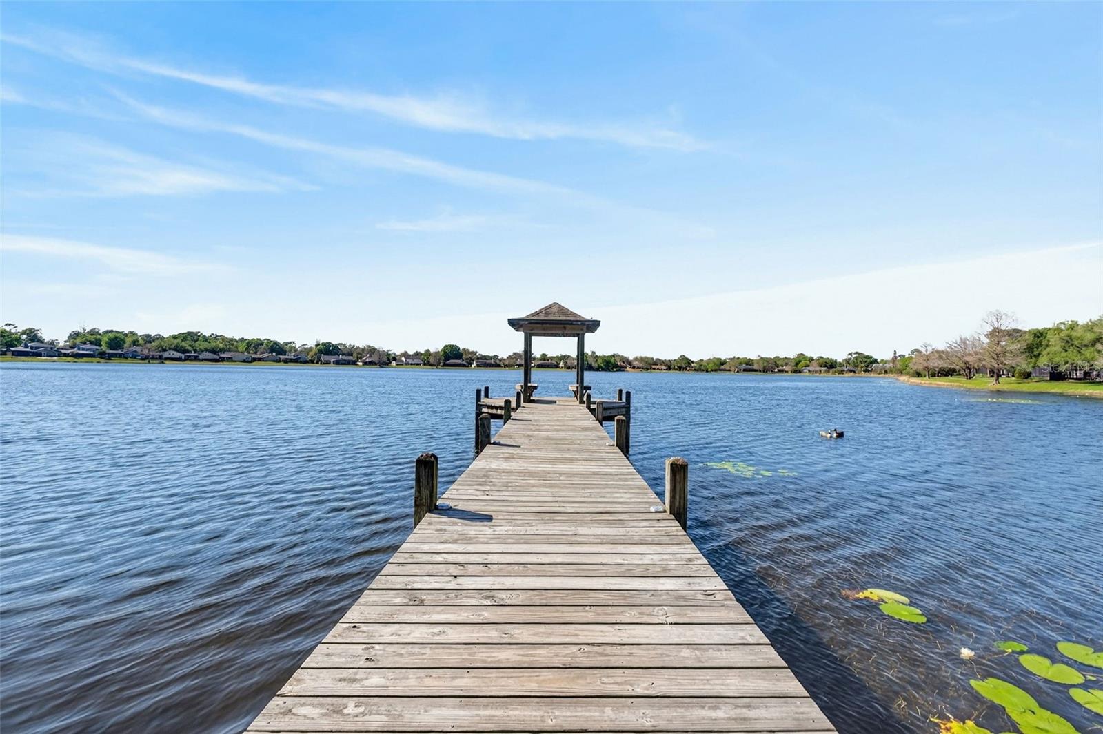 110 WHITLEY BAY LN, LONGWOOD, FL, 32779
