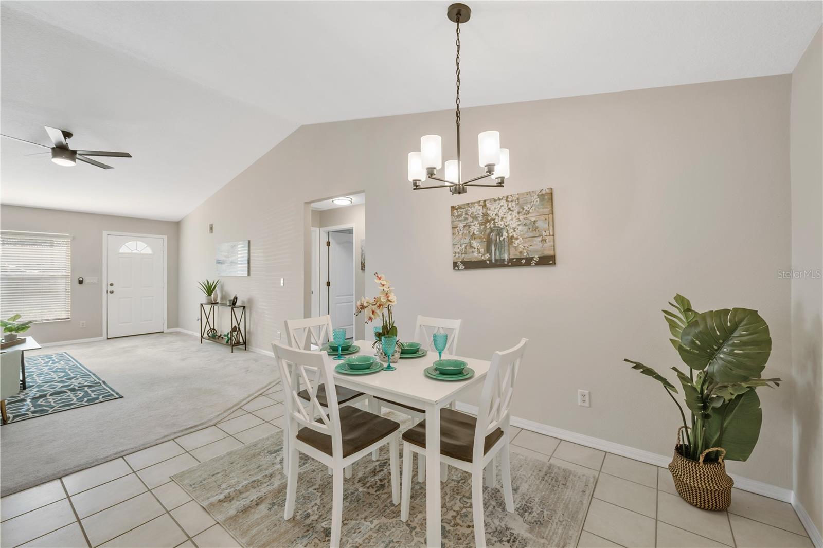 909 N MOBLEY ST, PLANT CITY, FL, 33563