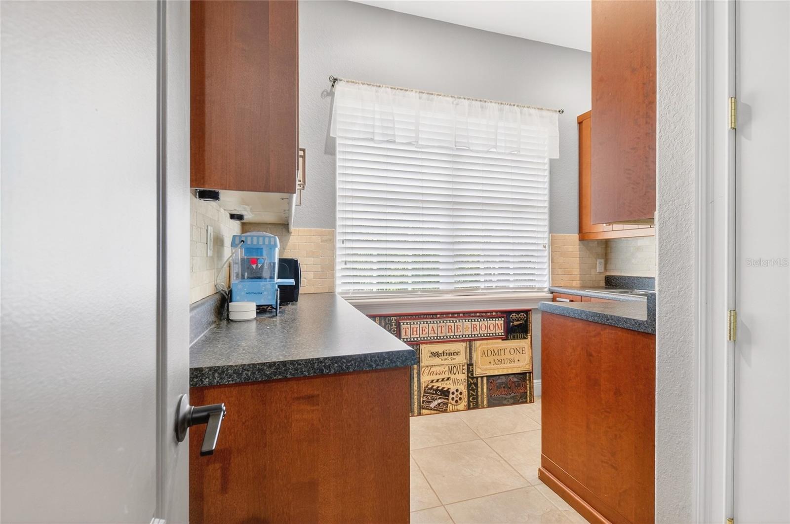 11226 MACAW CT, WINDERMERE, FL, 34786