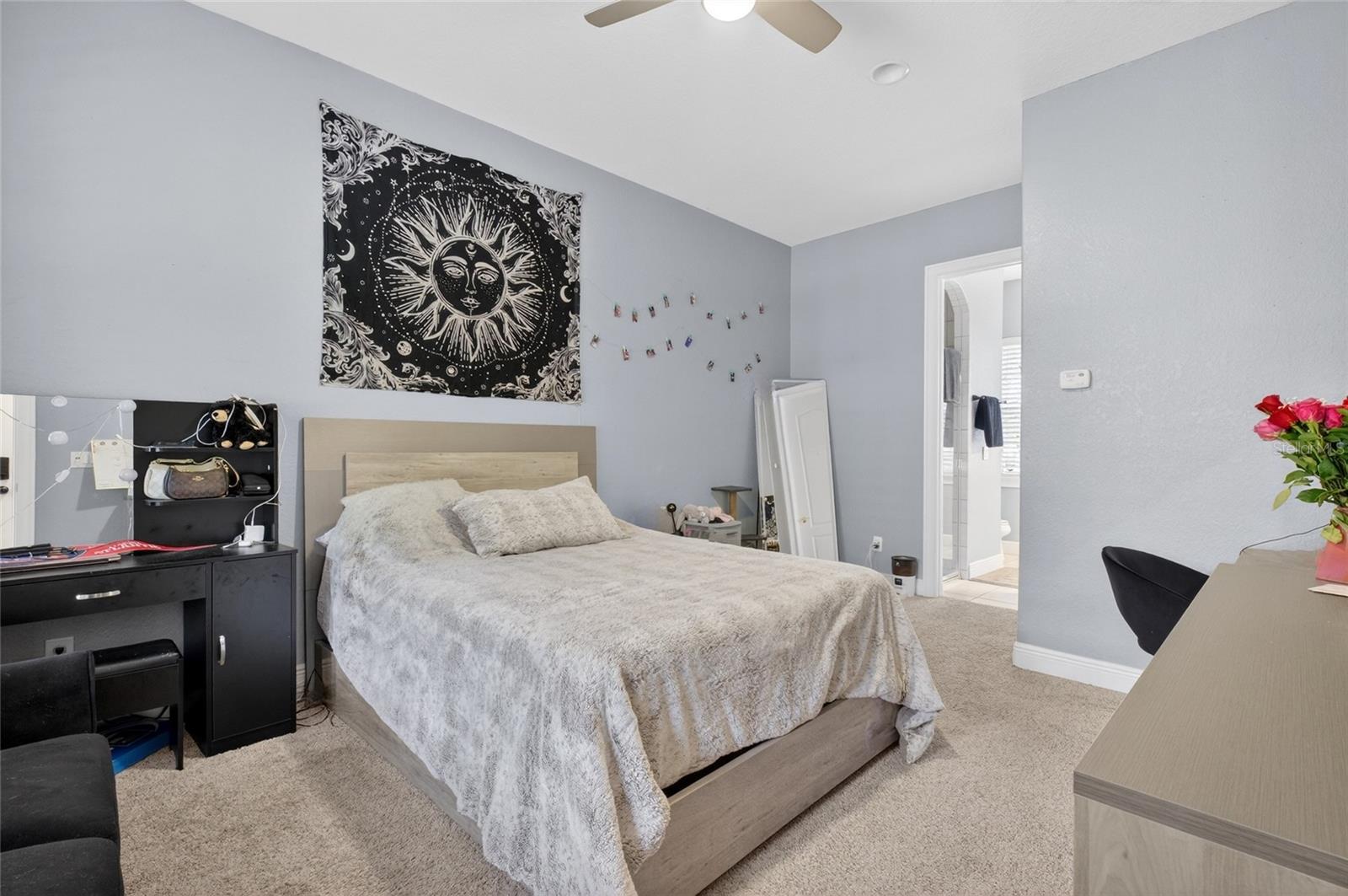 11226 MACAW CT, WINDERMERE, FL, 34786