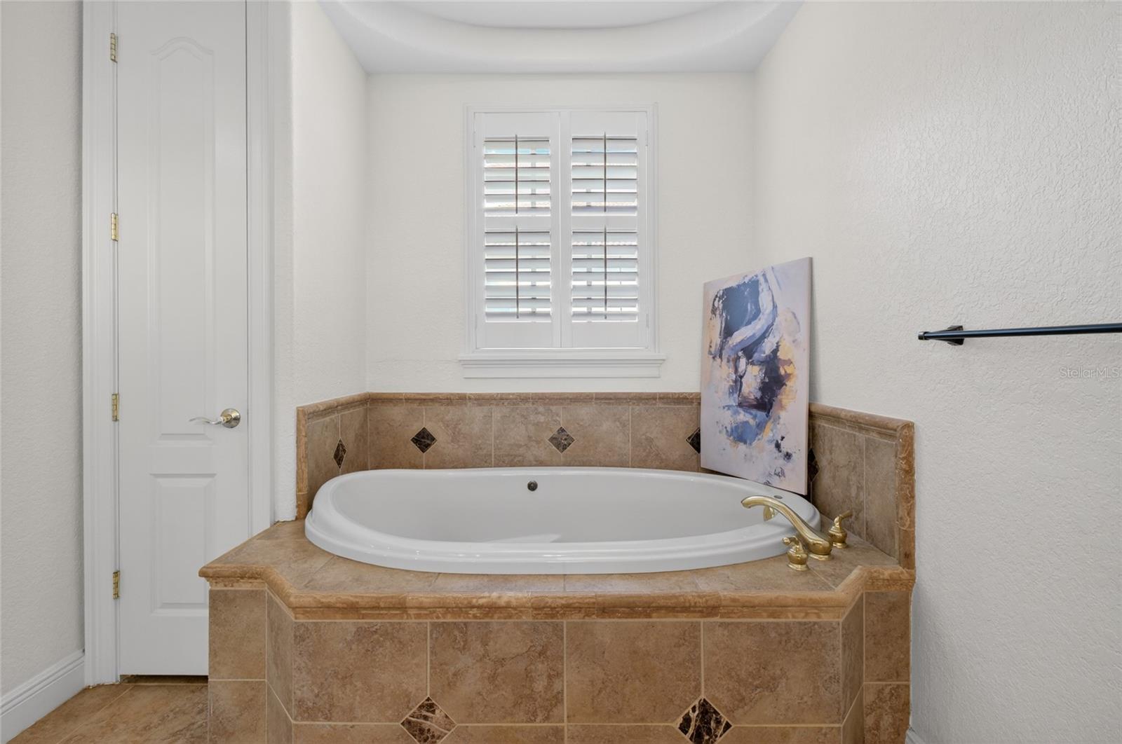 11226 MACAW CT, WINDERMERE, FL, 34786