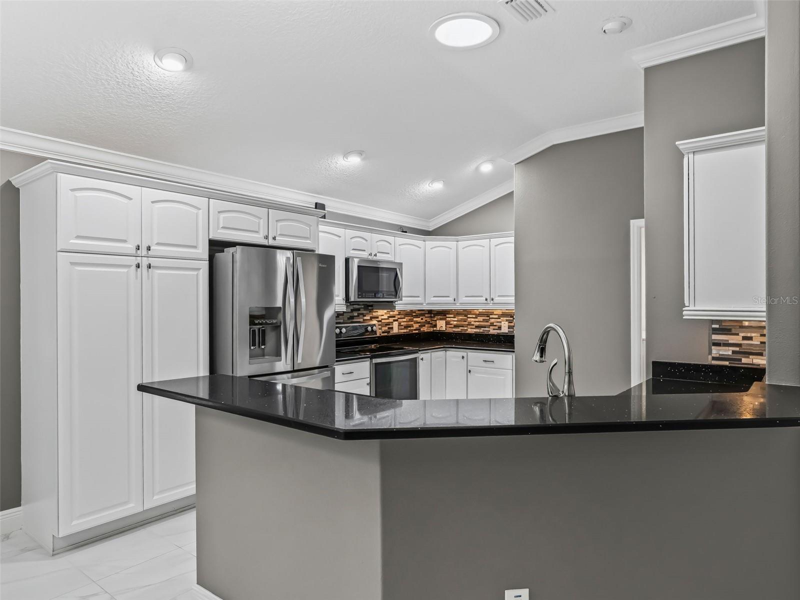 3556 MISTLETOE CT, THE VILLAGES, FL, 32163