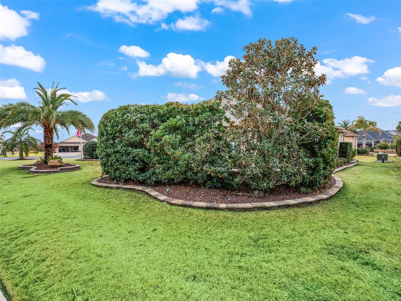 3556 MISTLETOE CT, THE VILLAGES, FL, 32163