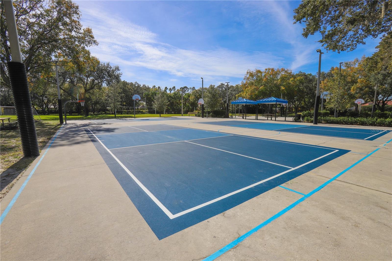 Pickle Ball Courts