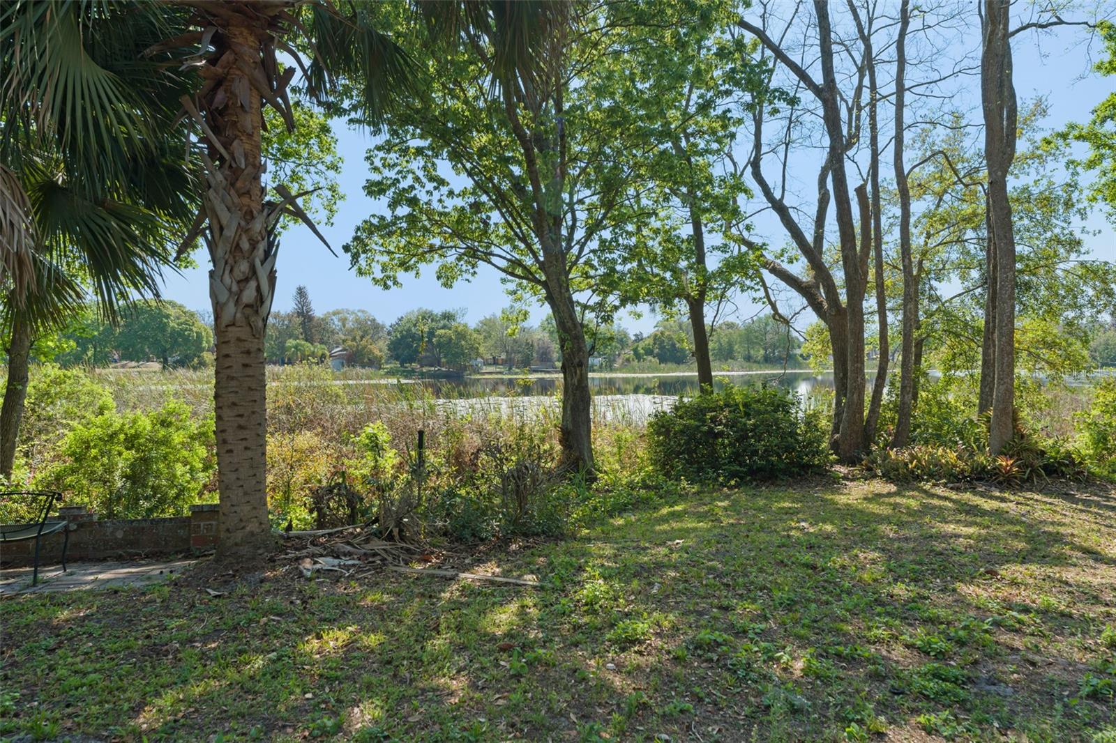 0 LAKE DOUGLAS PL, ORLANDO, FL, 32817
