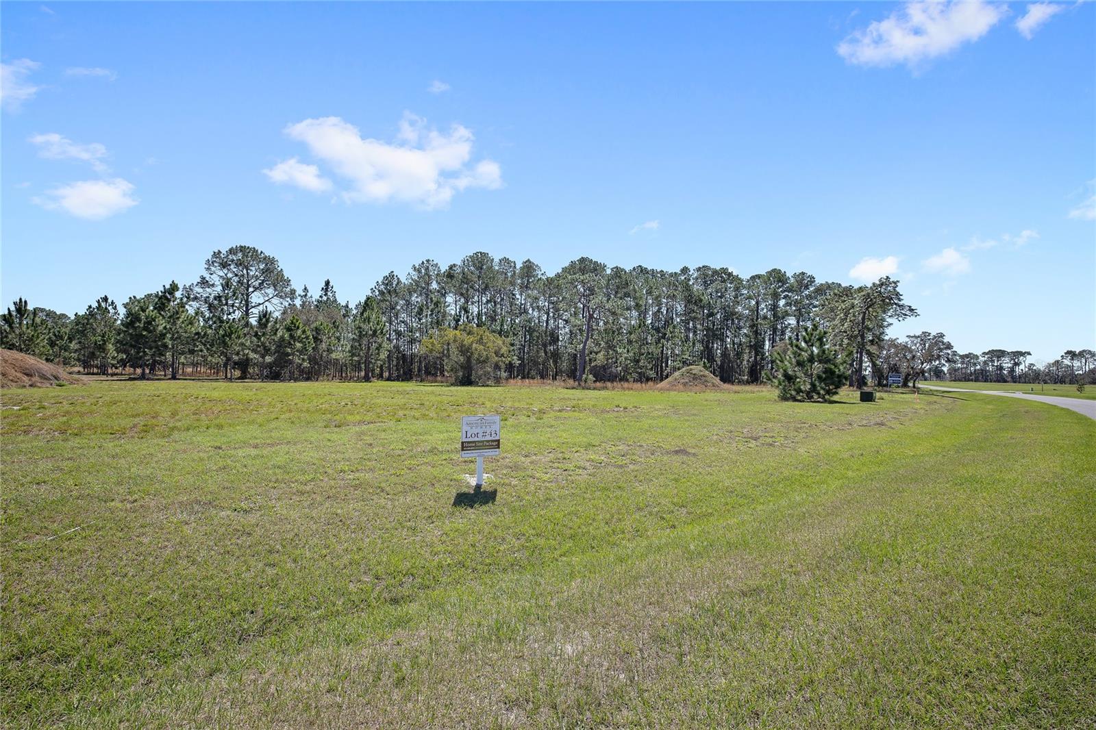 38514 WOODED MEADOW DR, UMATILLA, FL, 32784