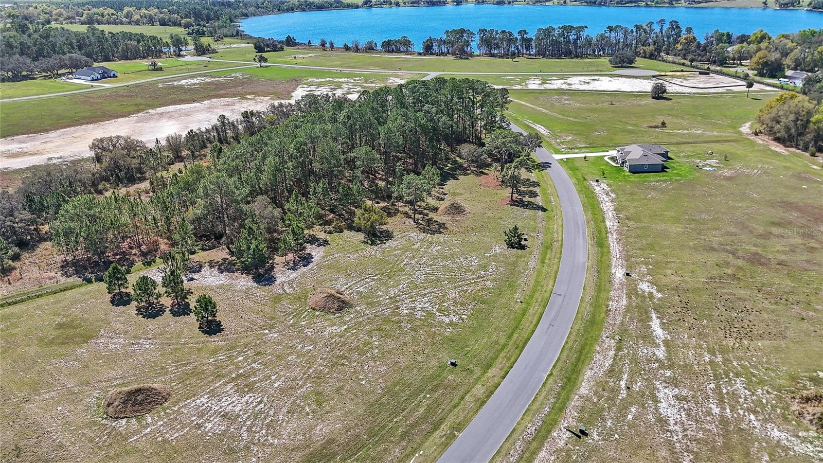 38514 WOODED MEADOW DR, UMATILLA, FL, 32784