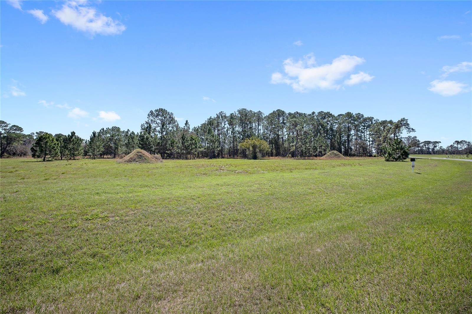 38514 WOODED MEADOW DR, UMATILLA, FL, 32784