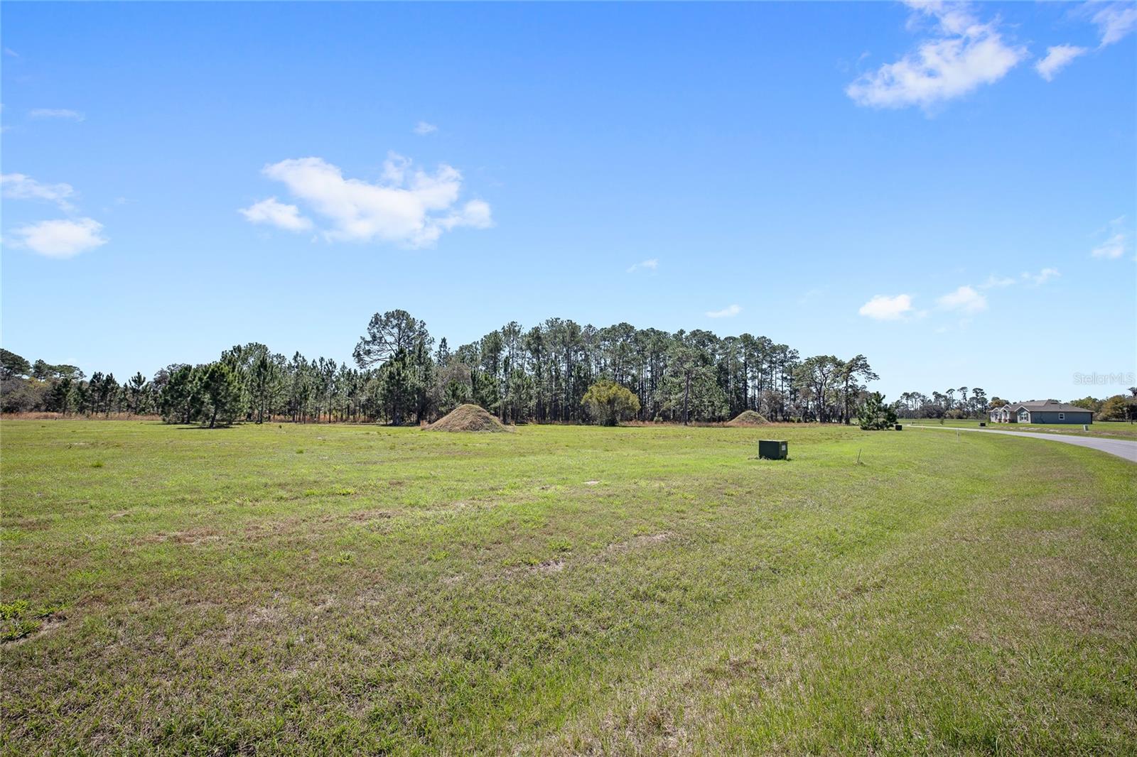 38514 WOODED MEADOW DR, UMATILLA, FL, 32784