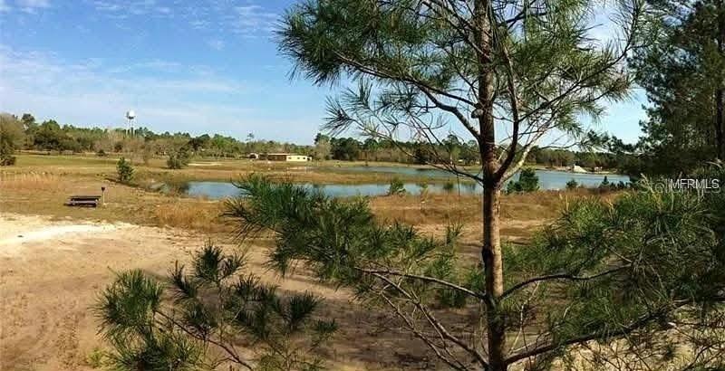 54523 ASTOR TRANSFER STATION RD, ASTOR, FL, 32102