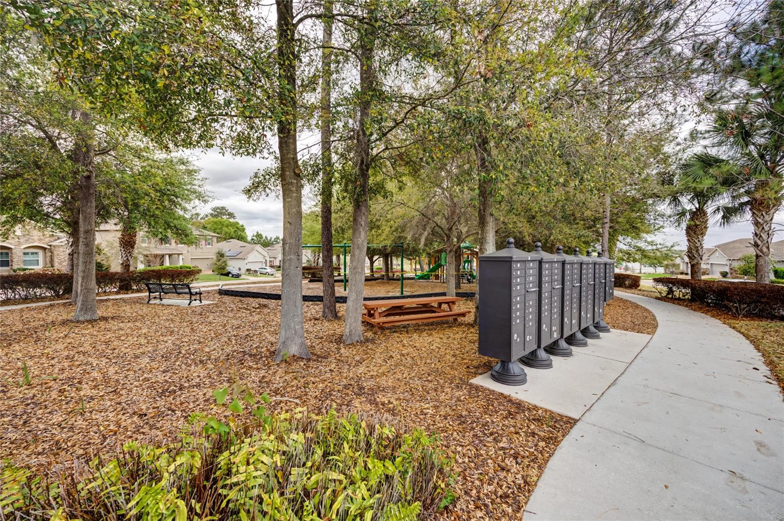 1734 BLACK MAPLE PL, OCOEE, FL, 34761