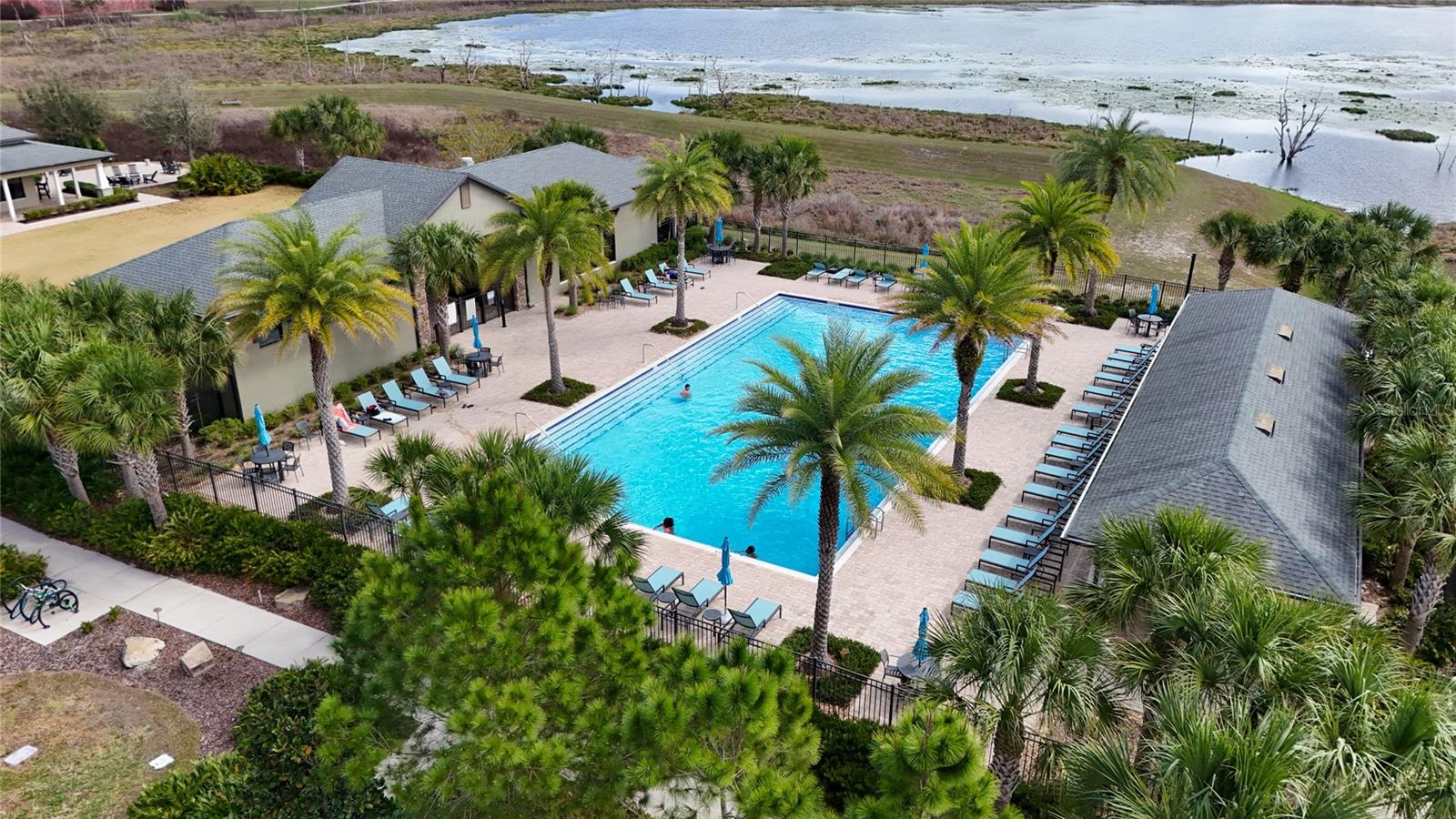 1734 BLACK MAPLE PL, OCOEE, FL, 34761