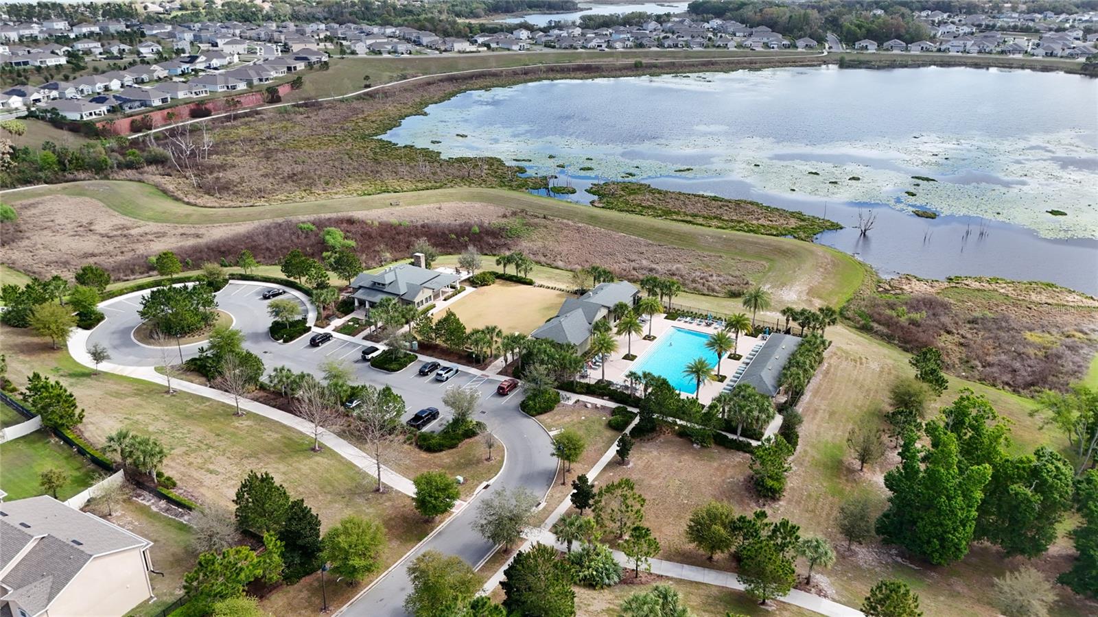 1734 BLACK MAPLE PL, OCOEE, FL, 34761