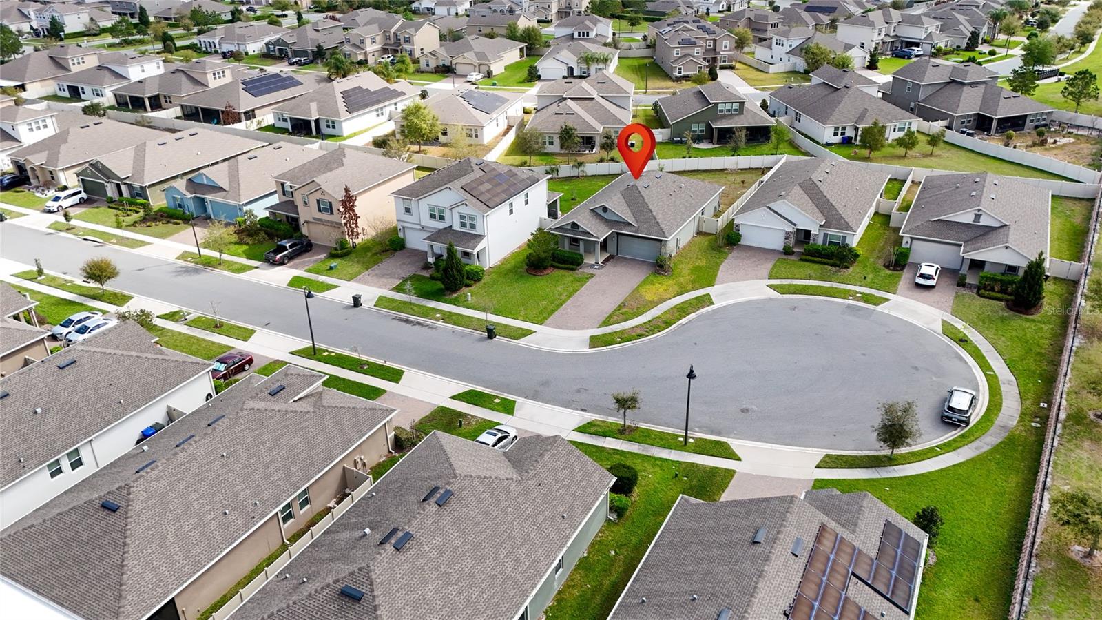 1734 BLACK MAPLE PL, OCOEE, FL, 34761